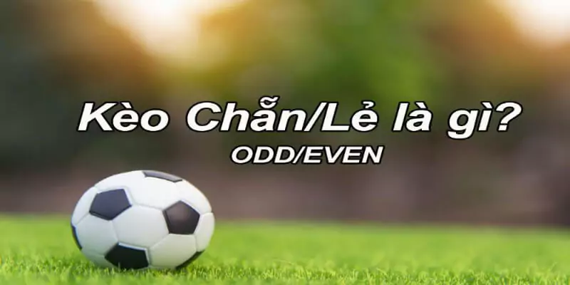 Kèo Chẵn Lẻ Là Gì? Cách Bắt Kèo Chẵn Lẻ Thắng 5 Định nghĩa đơn giản nhất